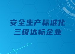 祝賀我司通過(guò)深圳市“安全生產(chǎn)標(biāo)準(zhǔn)化三級(jí)達(dá)標(biāo)企業(yè)”評(píng)定